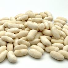 White beans, pre-coocked, frozen iqf